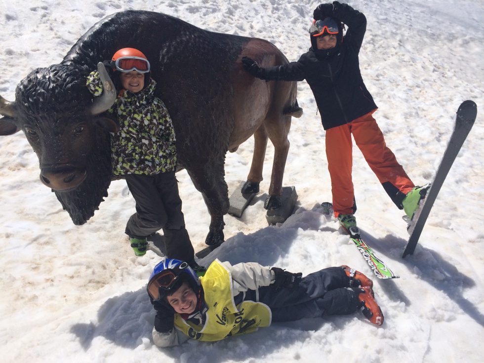 location chalet a vars claux - Location chalet de luxe - Chalet Ours Blanc Vars Alpes du Sud