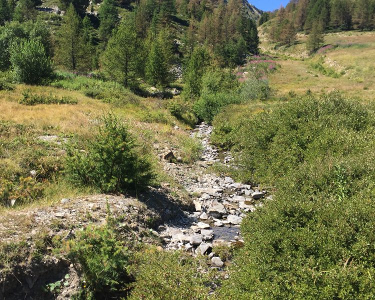 location chalet a vars claux - Location chalet de luxe - Chalet Ours Blanc Vars Alpes du Sud